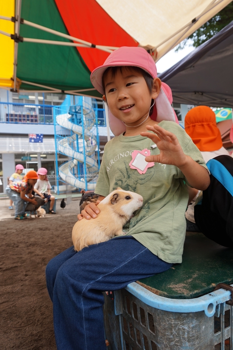 f:id:draper:20190615012234j:plain