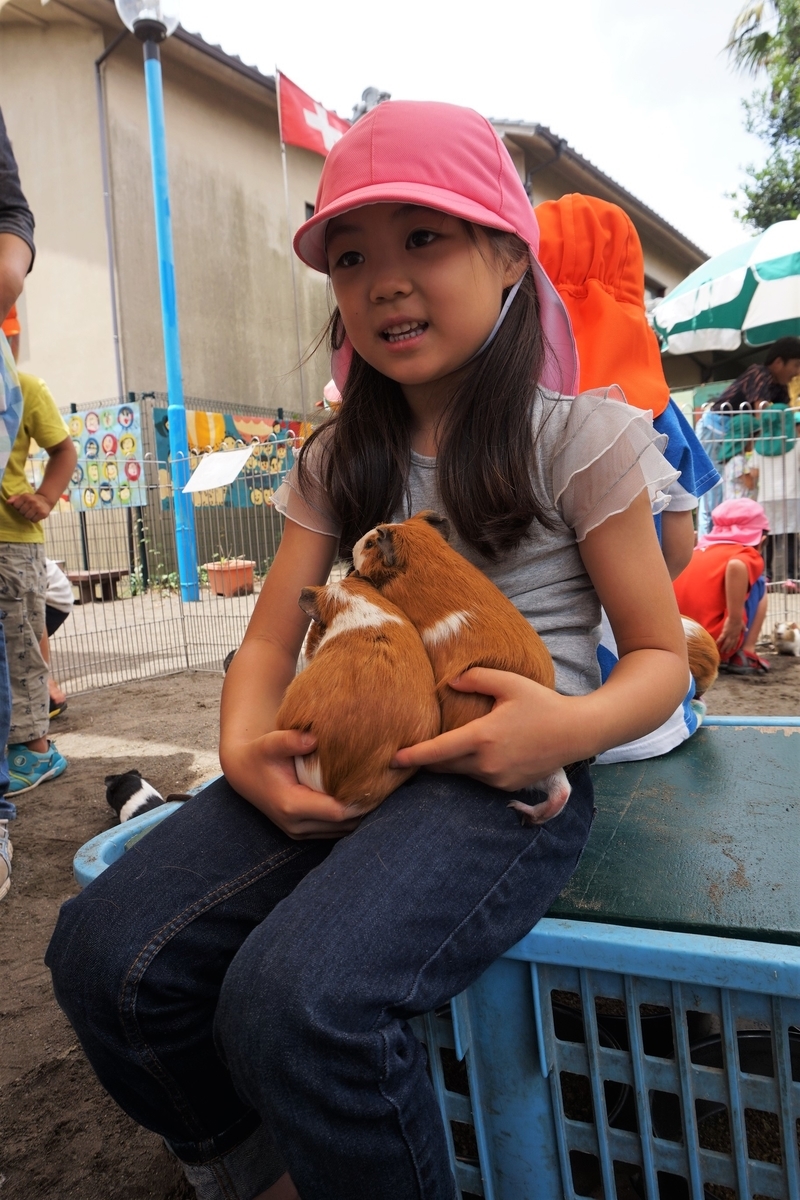 f:id:draper:20190615012519j:plain