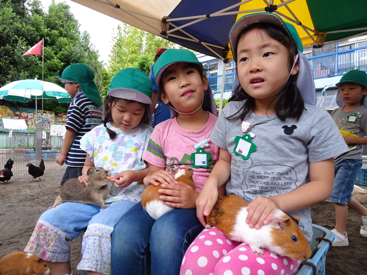 f:id:draper:20190615012653j:plain