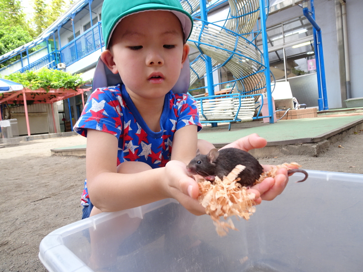 f:id:draper:20190615013553j:plain