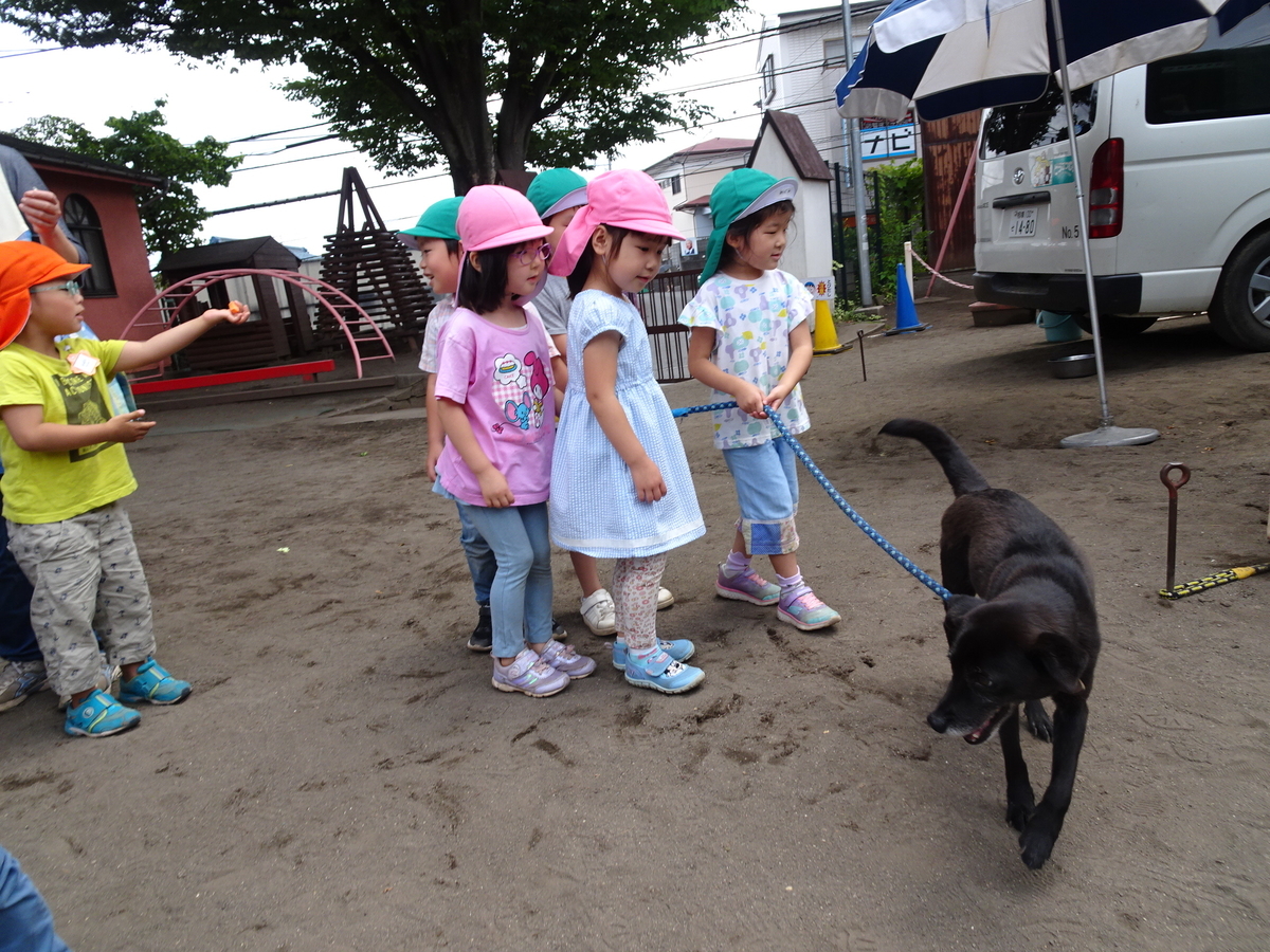 f:id:draper:20190615013633j:plain