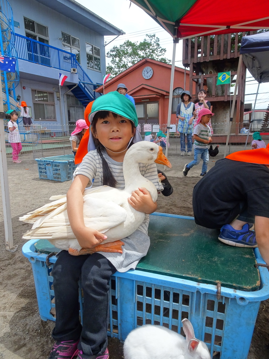 f:id:draper:20190615013710j:plain