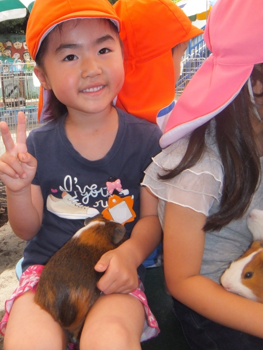 f:id:draper:20190615014141j:plain