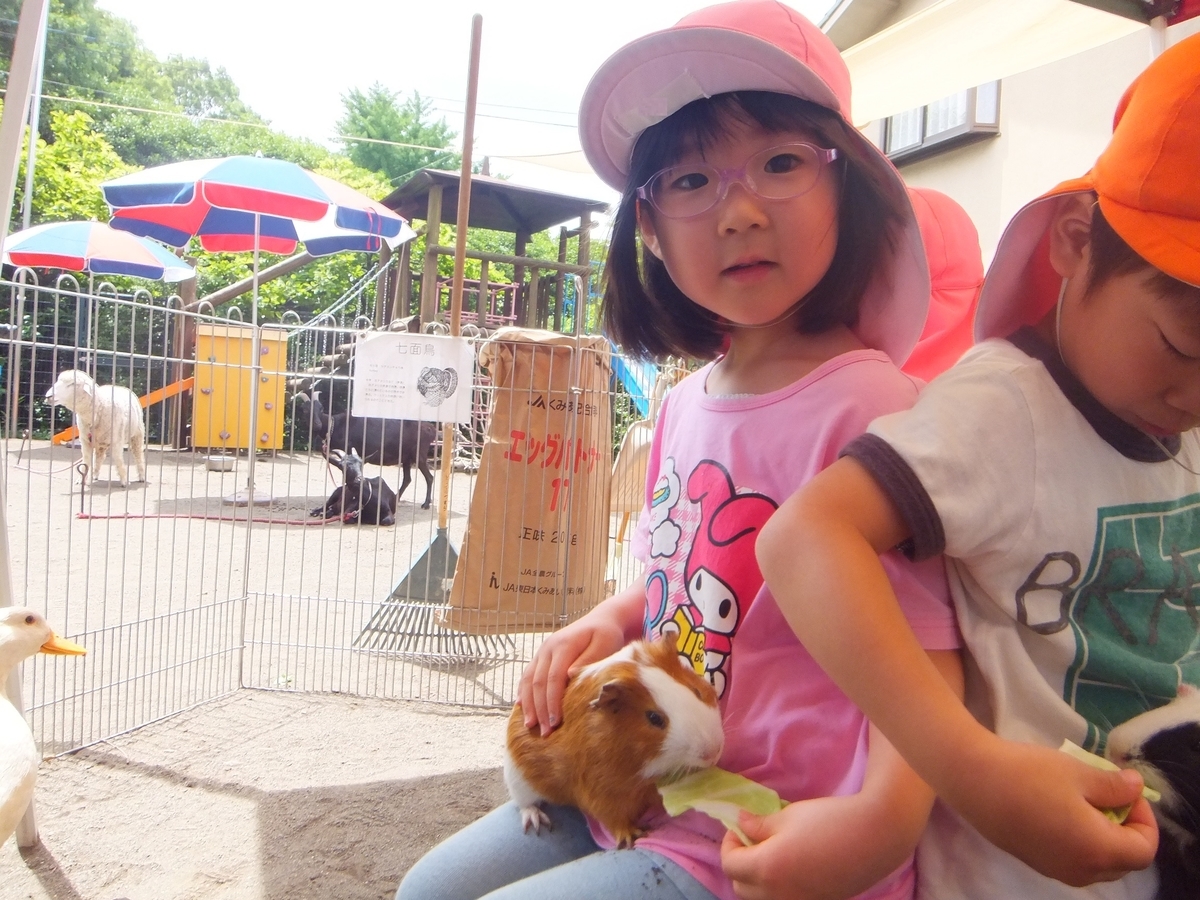 f:id:draper:20190615014201j:plain