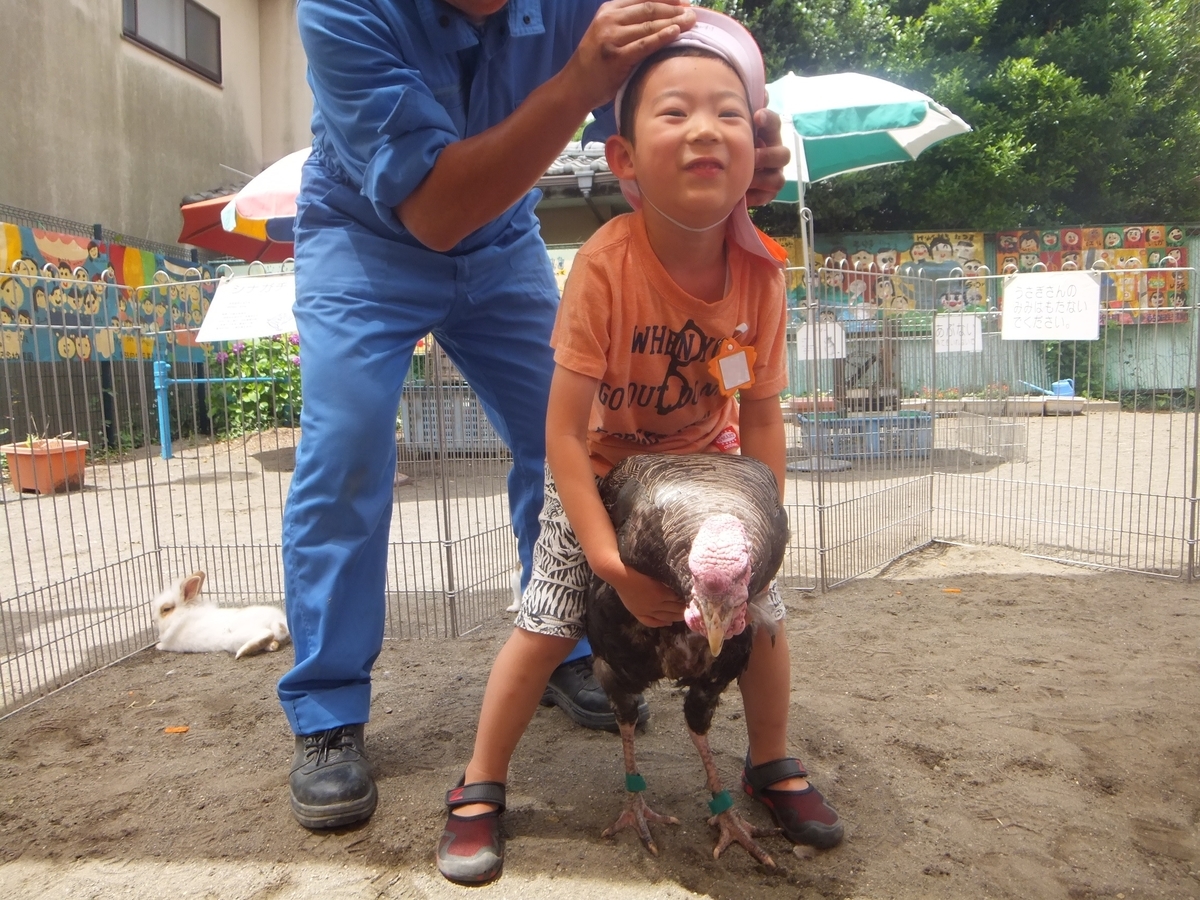 f:id:draper:20190615014318j:plain