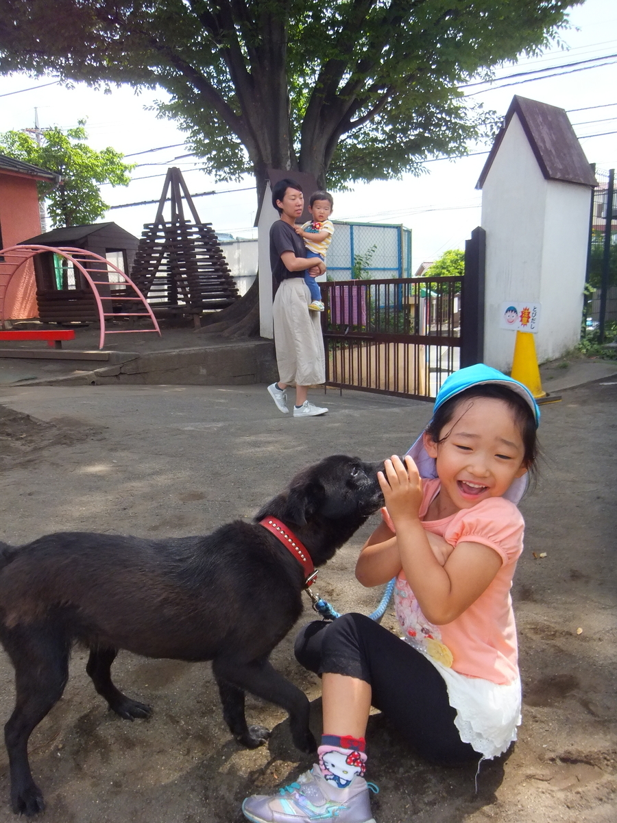f:id:draper:20190615014852j:plain