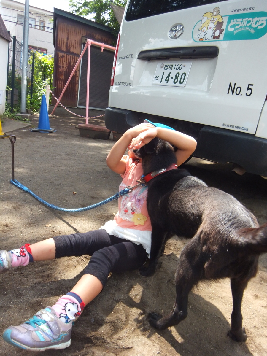 f:id:draper:20190615014855j:plain