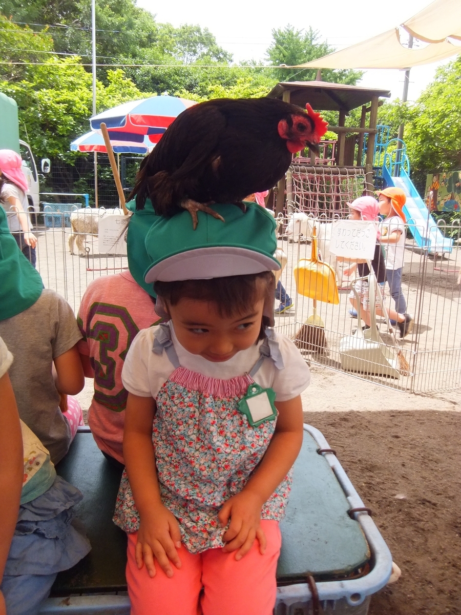 f:id:draper:20190615015332j:plain