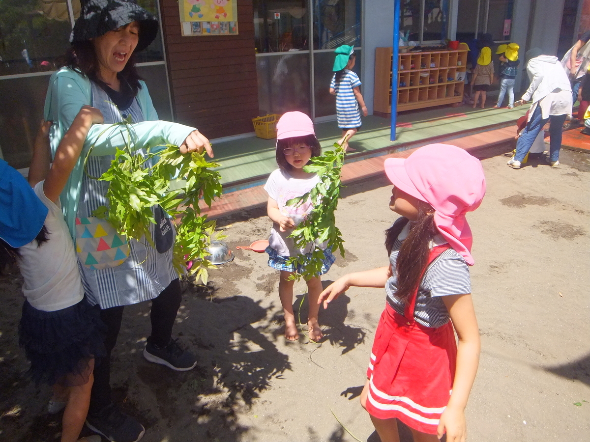 f:id:draper:20190617162922j:plain