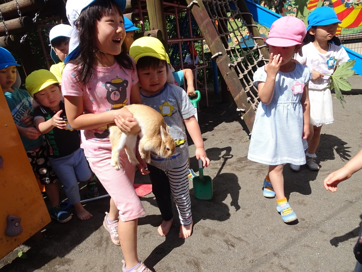 f:id:draper:20190618133927j:plain