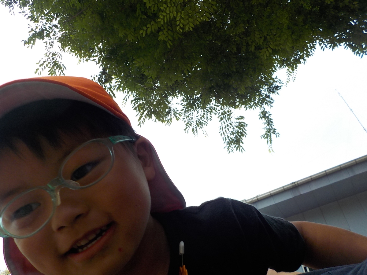 f:id:draper:20190618172200j:plain
