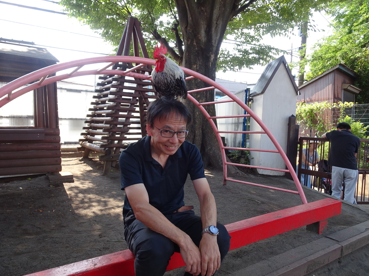 f:id:draper:20190619133149j:plain