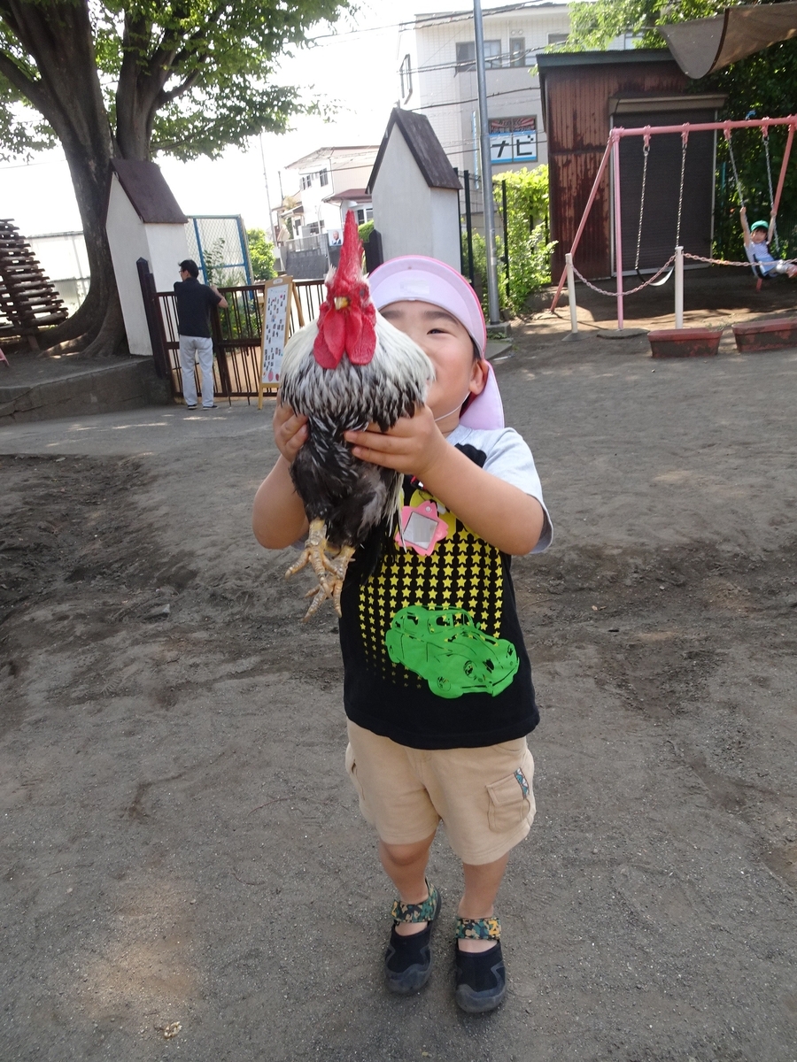 f:id:draper:20190619133303j:plain