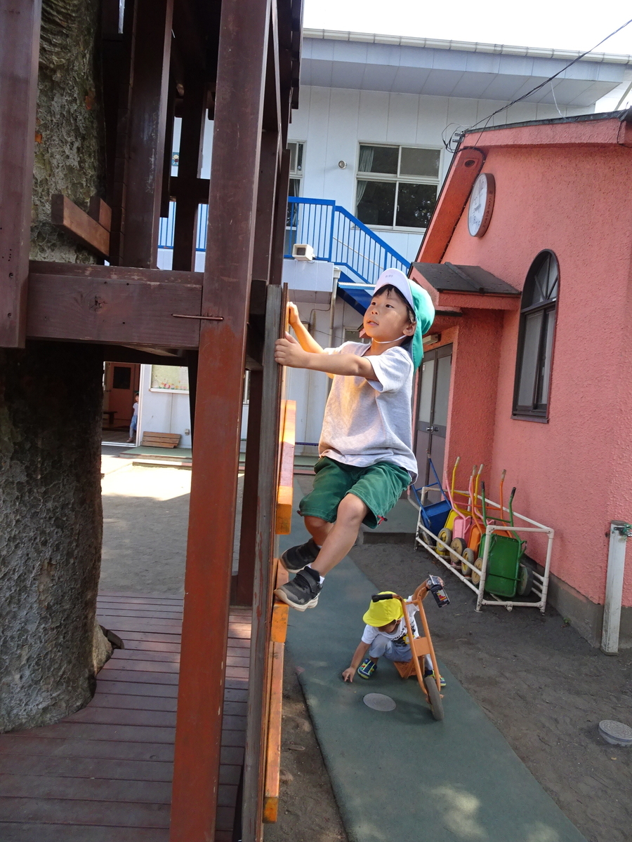 f:id:draper:20190619133803j:plain