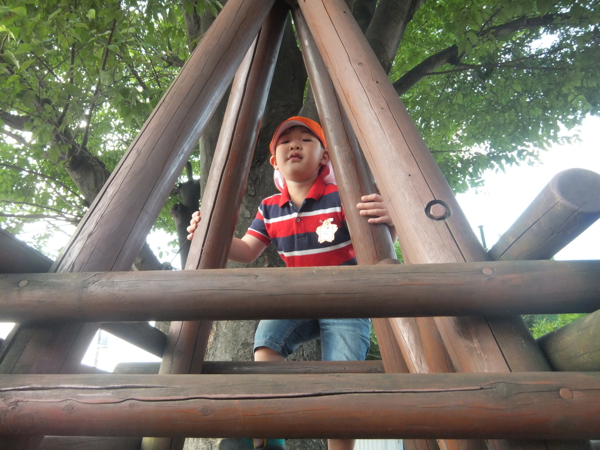 f:id:draper:20190619140837j:plain