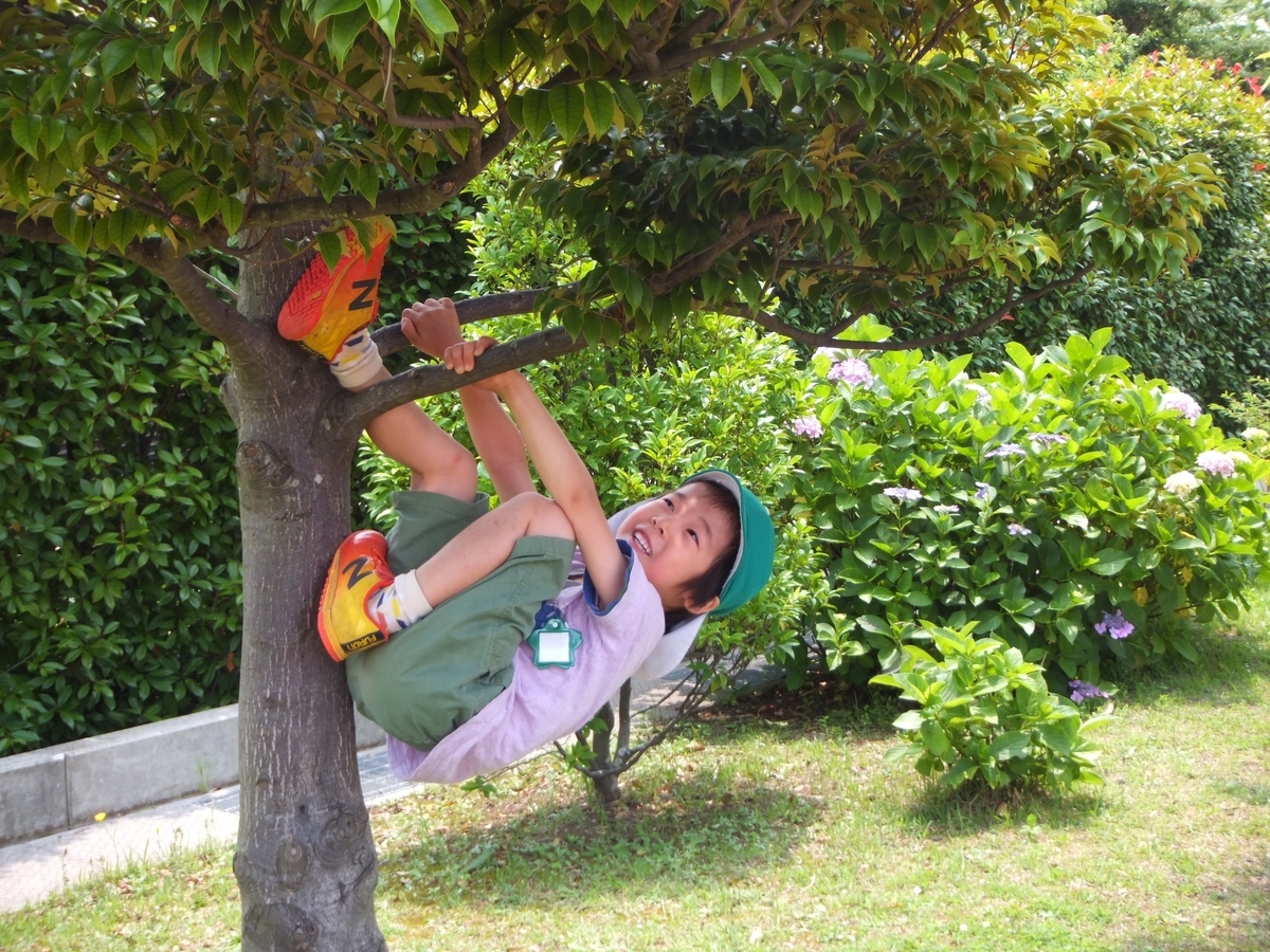 f:id:draper:20190621085512j:plain