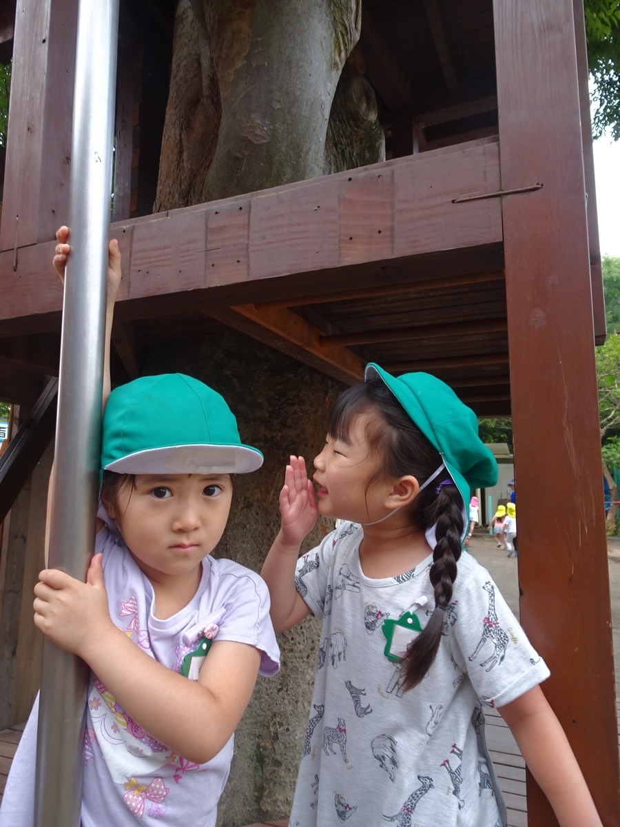 f:id:draper:20190622085056j:plain