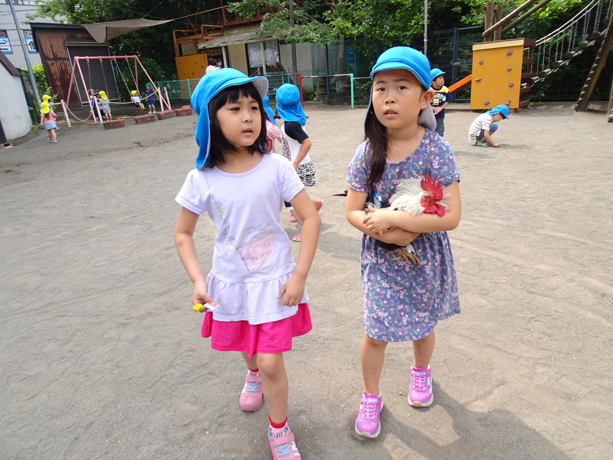 f:id:draper:20190622085150j:plain
