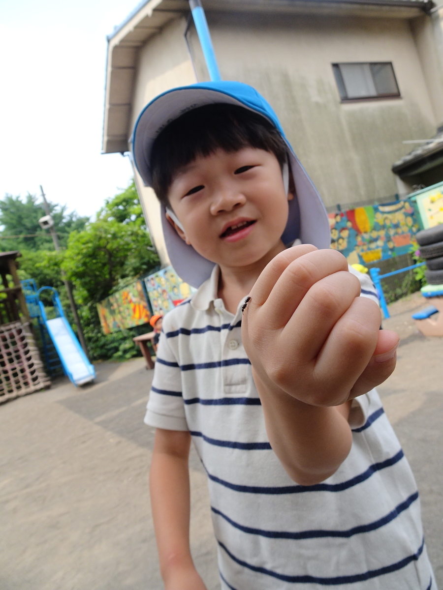 f:id:draper:20190622085158j:plain