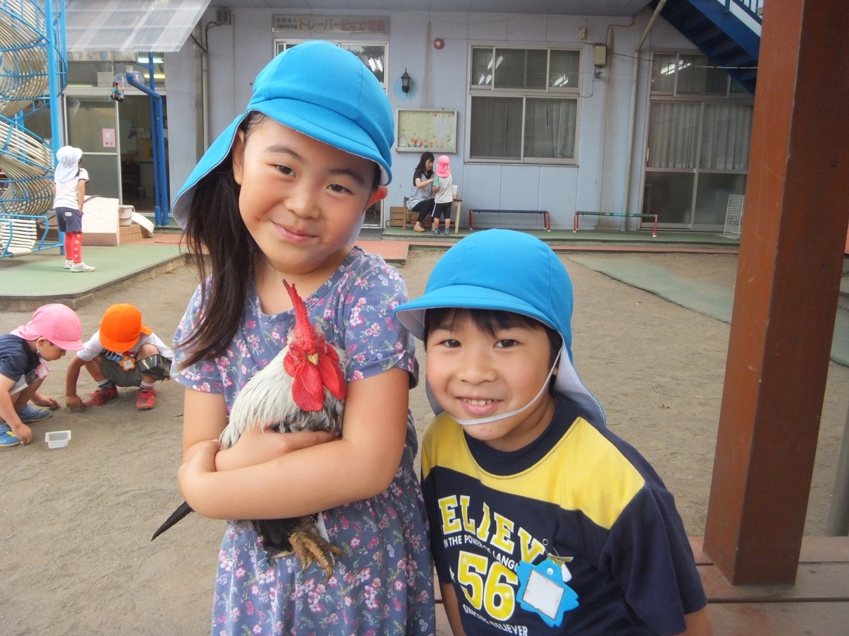 f:id:draper:20190622085403j:plain