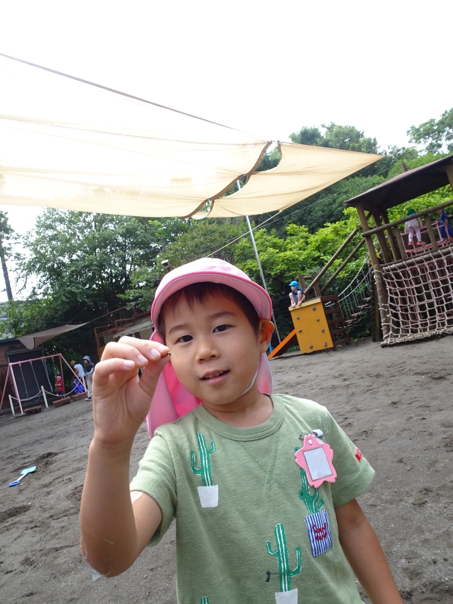 f:id:draper:20190625153504j:plain