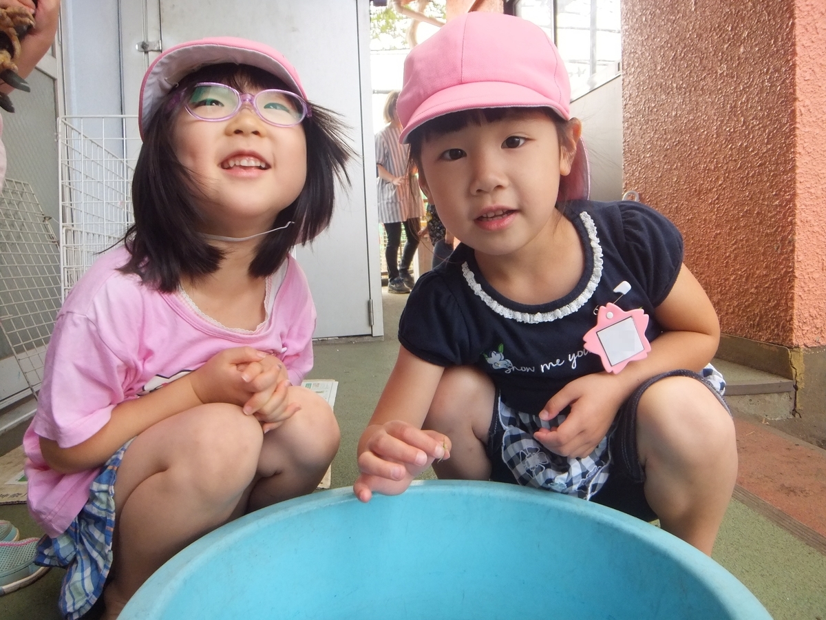 f:id:draper:20190625155247j:plain
