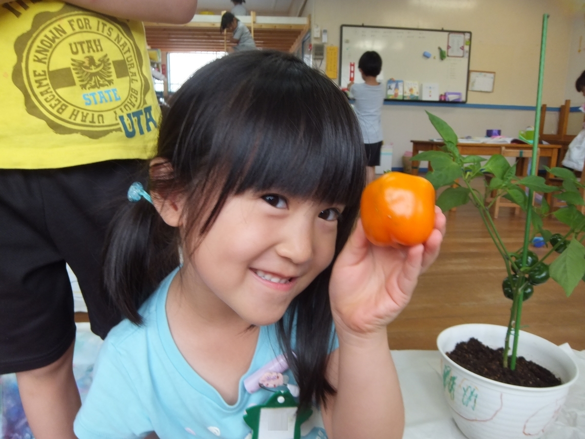f:id:draper:20190629184928j:plain