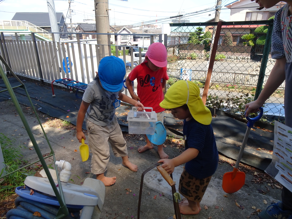 f:id:draper:20190902160818j:plain
