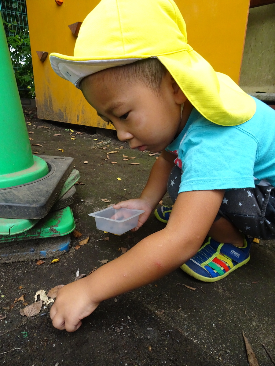 f:id:draper:20190905161353j:plain
