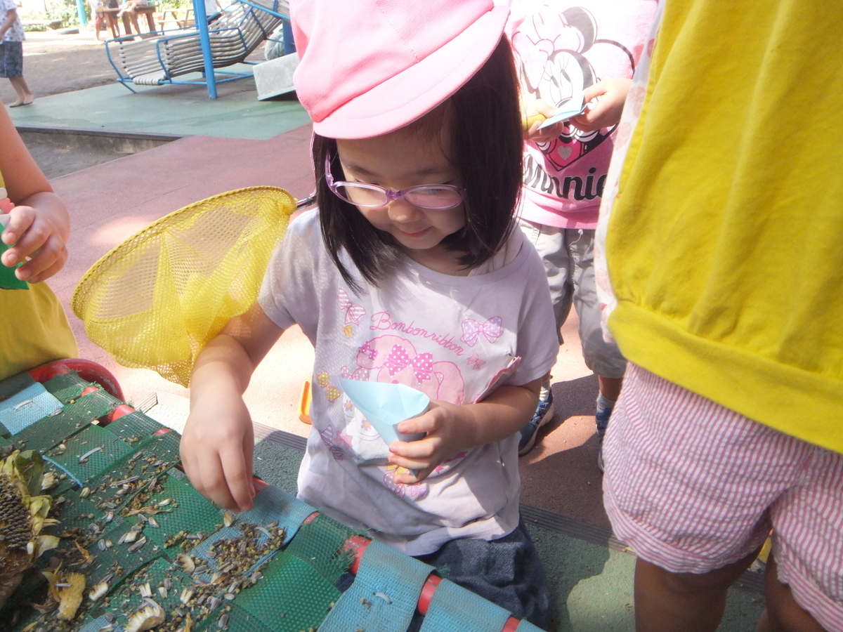 f:id:draper:20190906162939j:plain