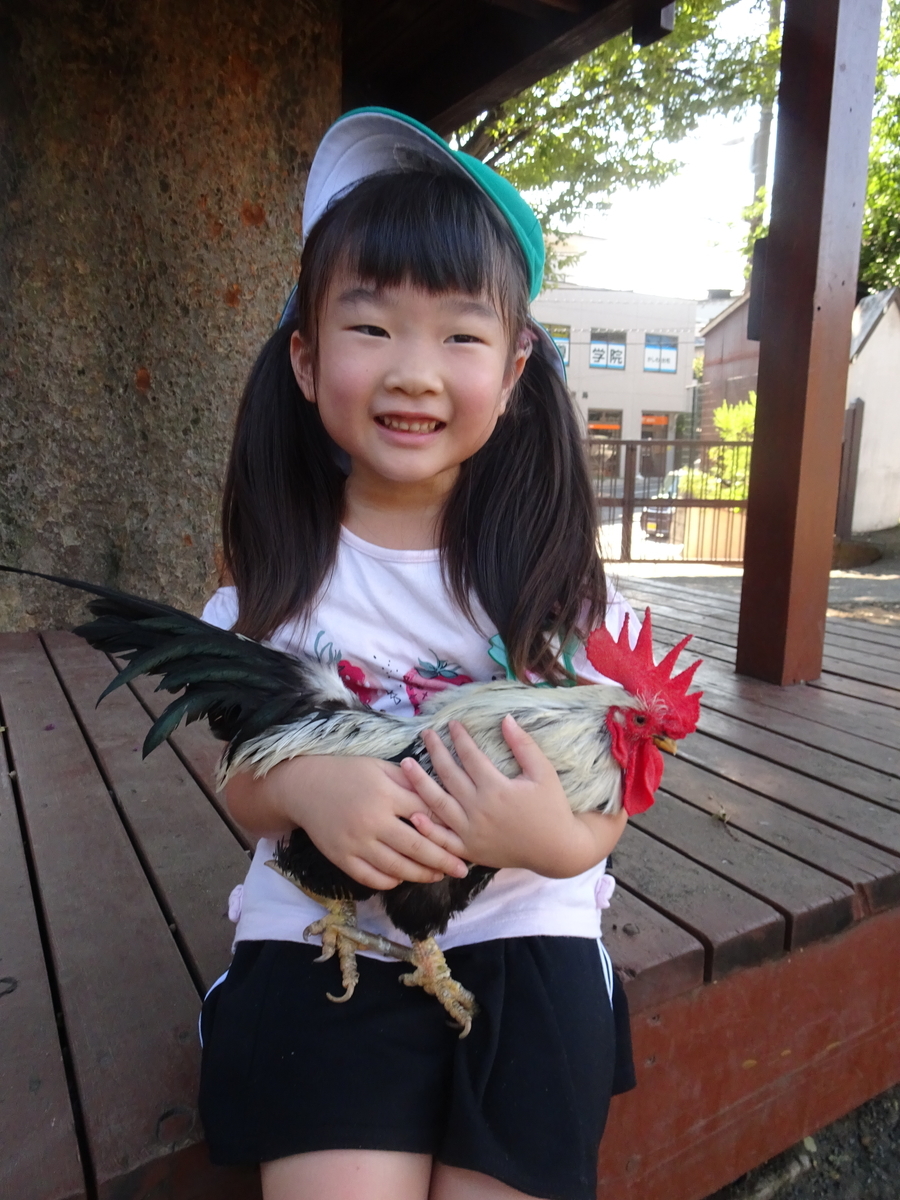 f:id:draper:20190910160245j:plain