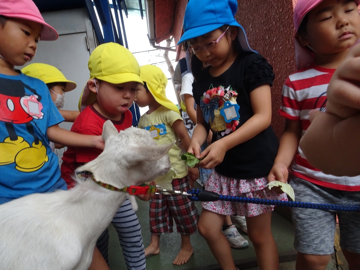 f:id:draper:20190913151809j:plain