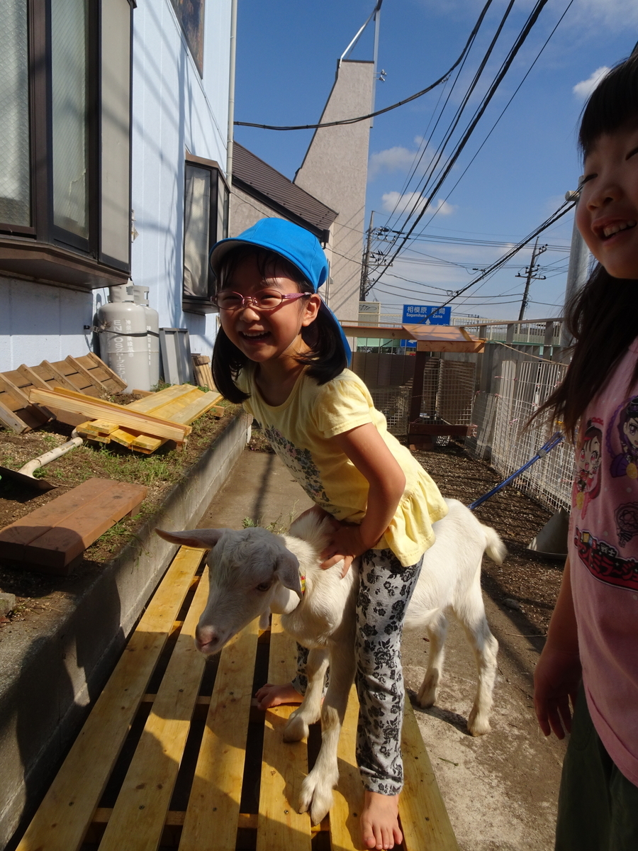 f:id:draper:20190917154251j:plain
