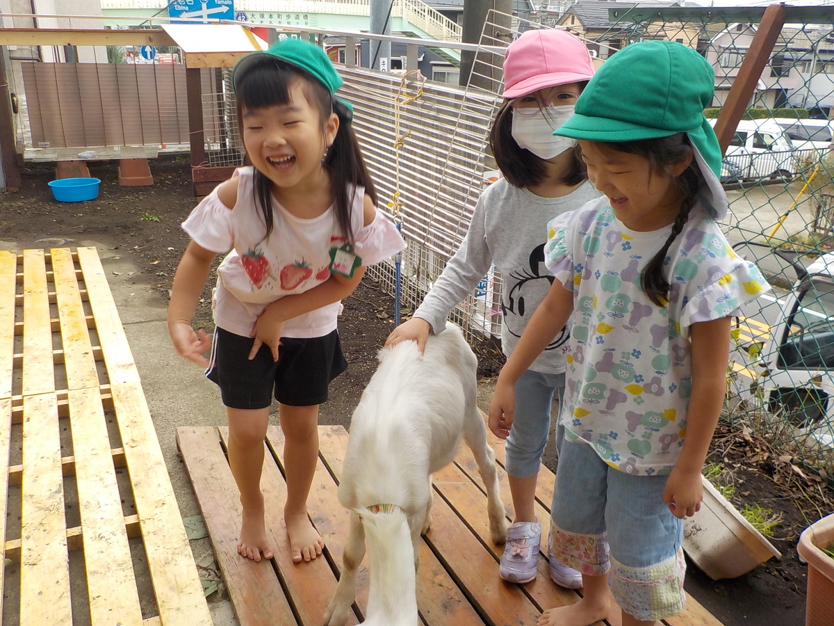 f:id:draper:20190919142551j:plain
