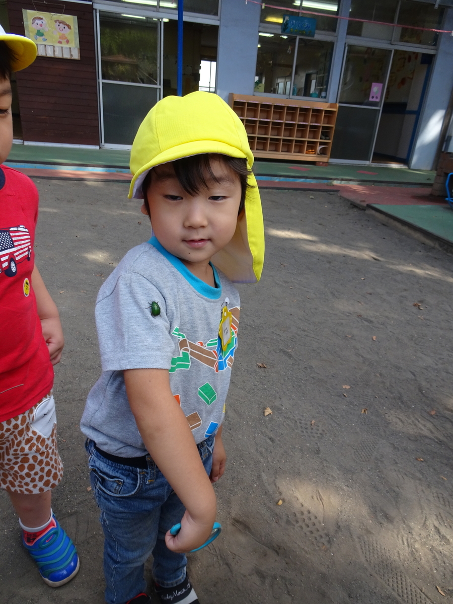 f:id:draper:20190925143059j:plain
