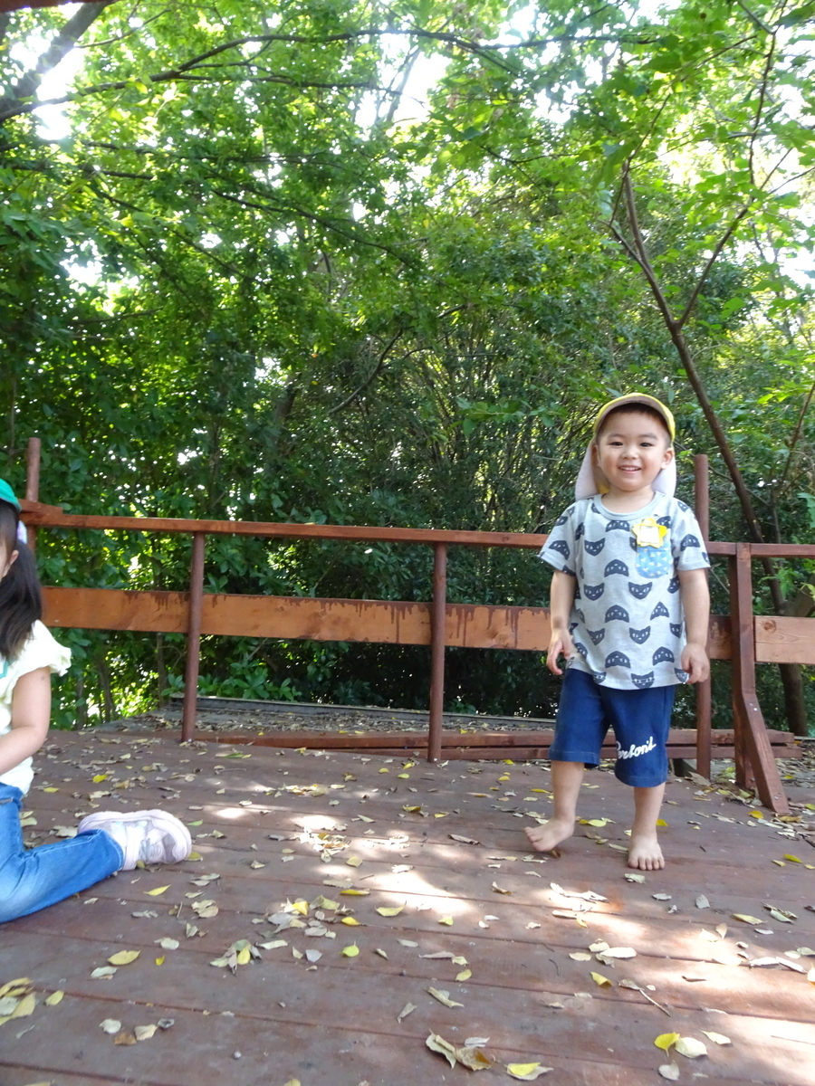 f:id:draper:20190927141315j:plain