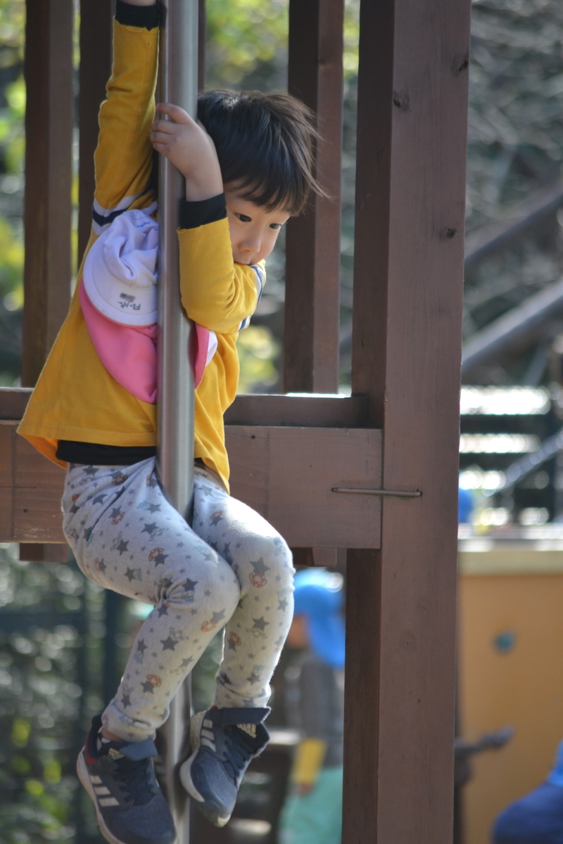 f:id:draper:20201027181559j:plain