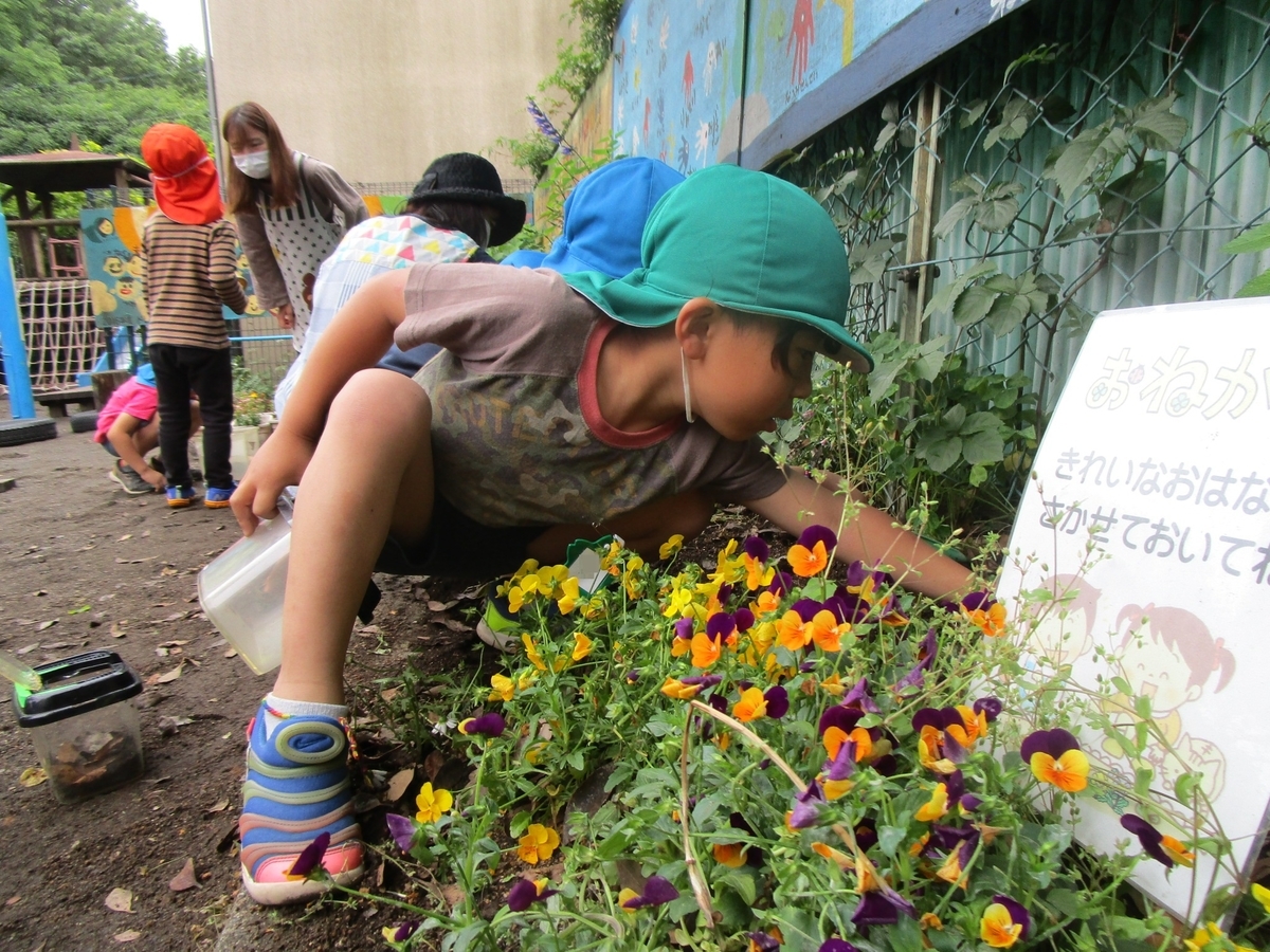 f:id:draper:20210520160005j:plain