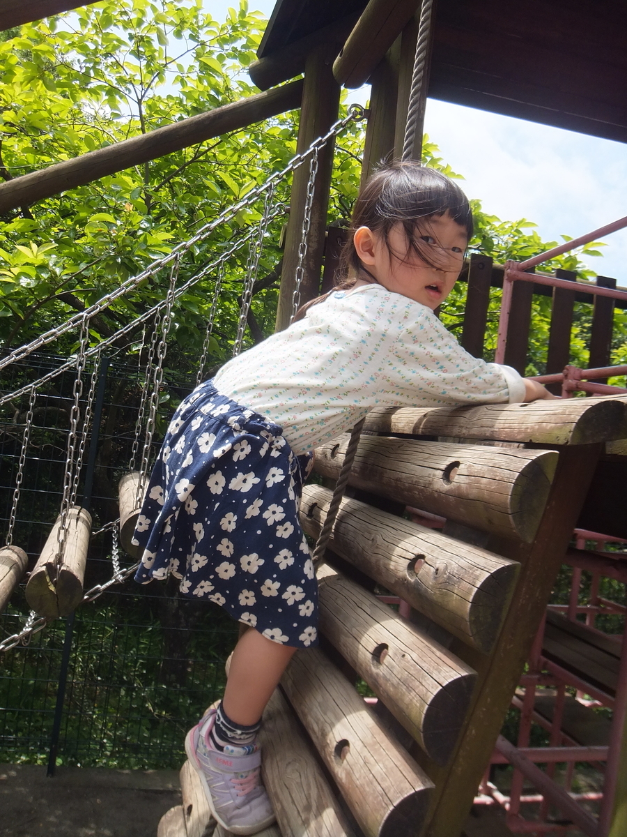 f:id:draper2:20200527134304j:plain