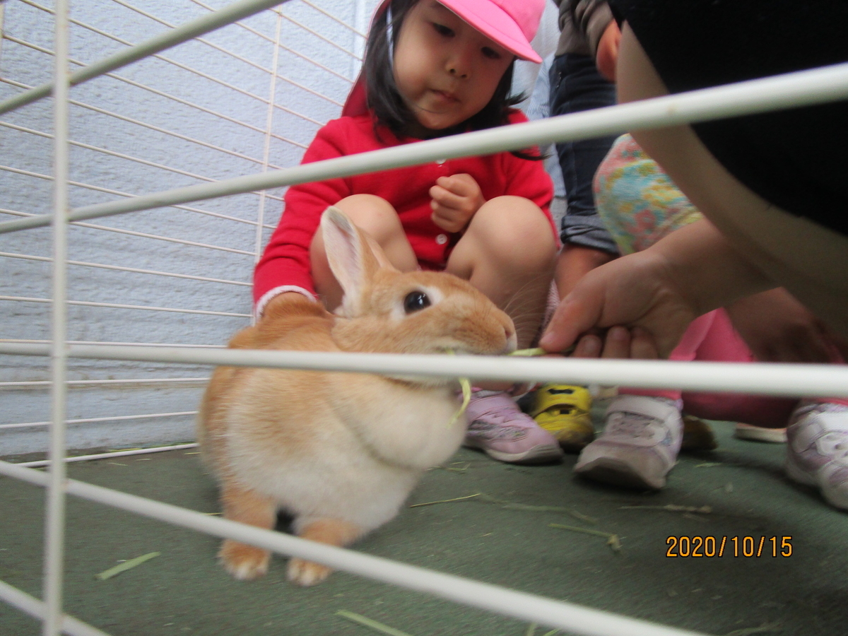 f:id:draper2:20201015163605j:plain