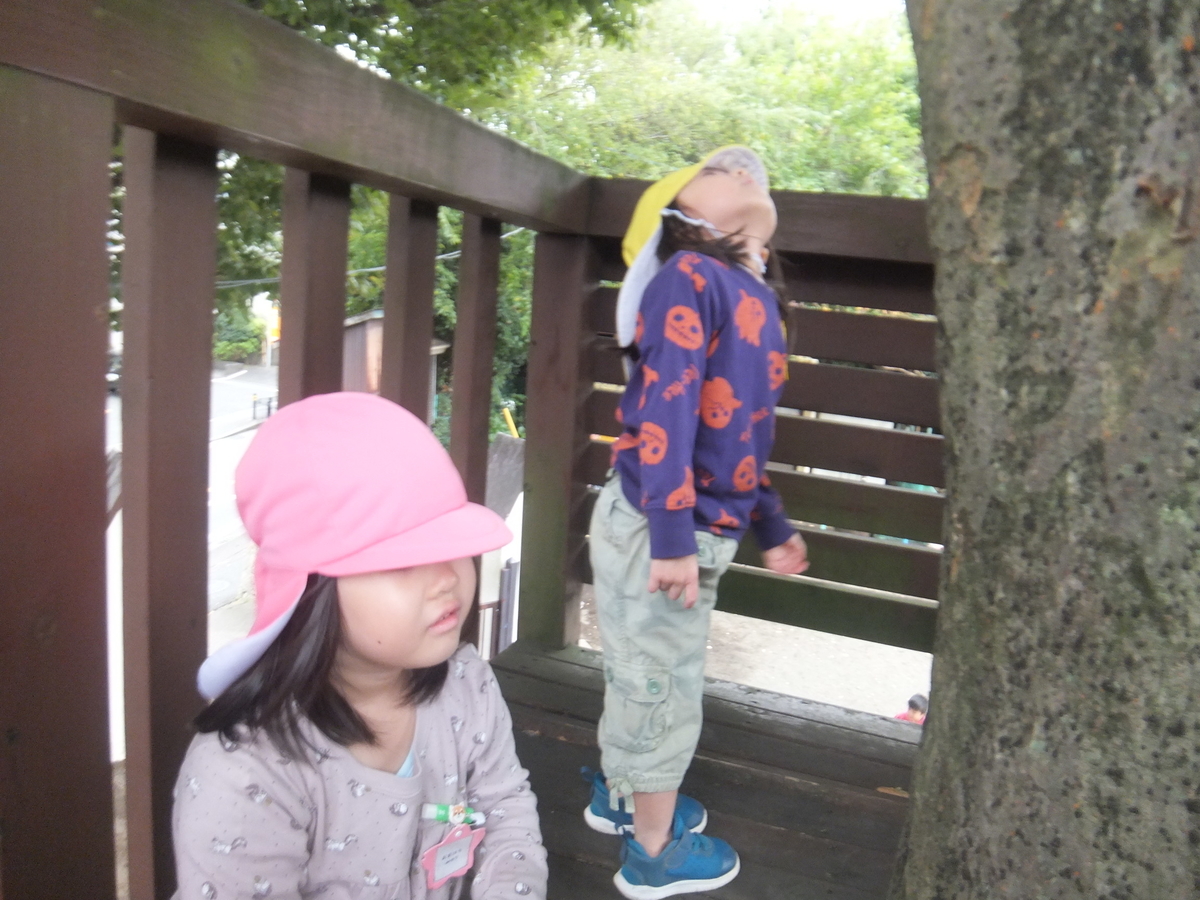 f:id:draper2:20201015171233j:plain
