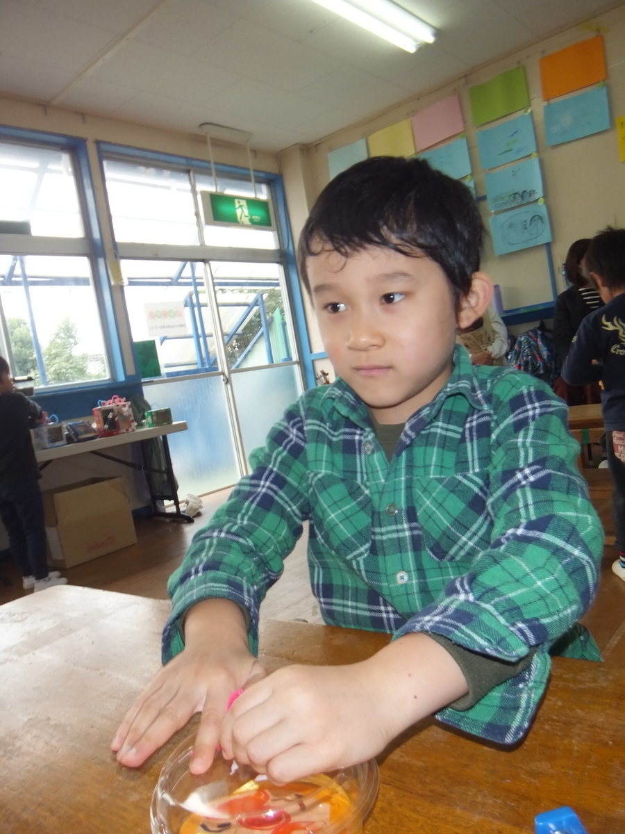 f:id:draper2:20201030155447j:plain
