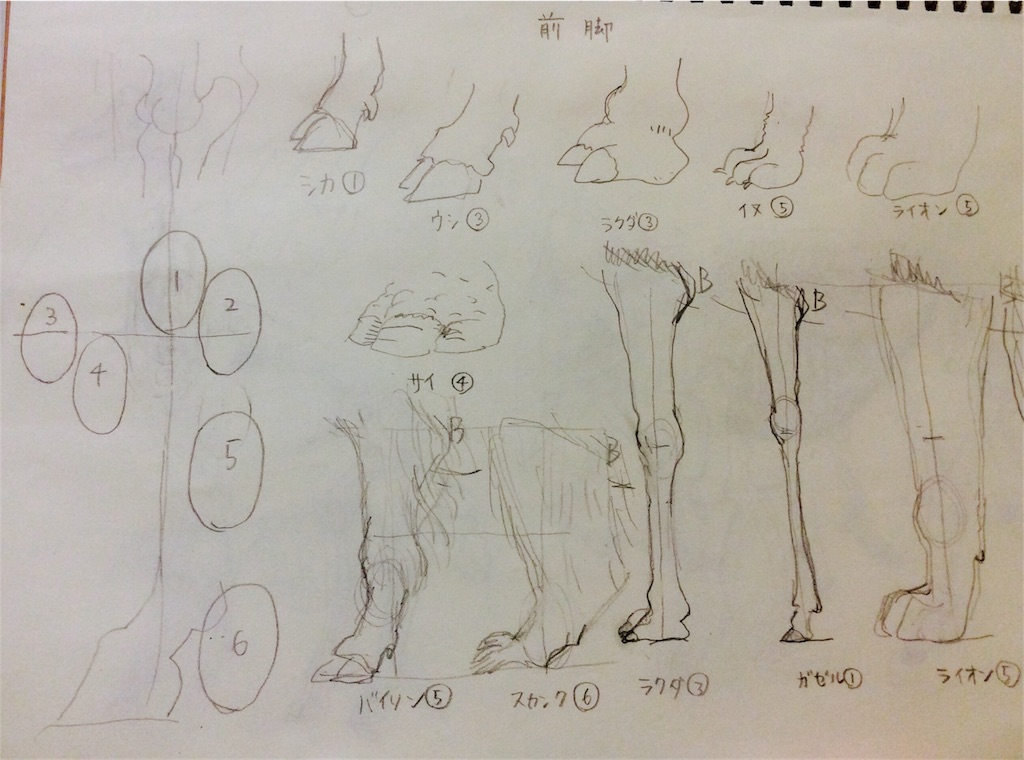 f:id:draw642:20171207192202j:image