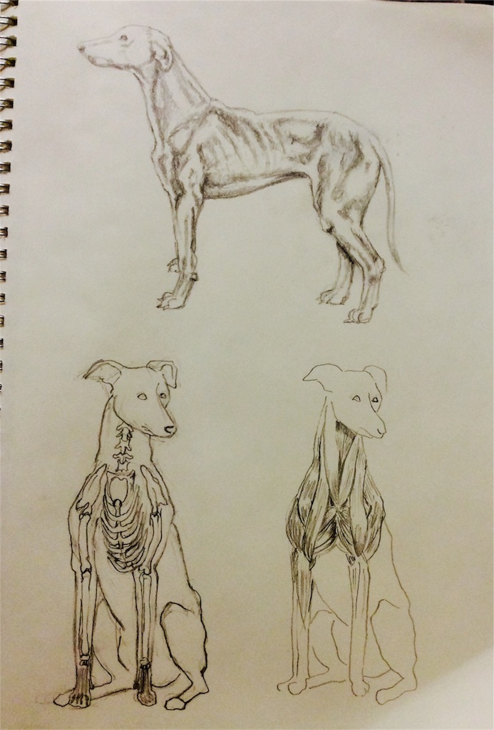 f:id:draw642:20171211203203j:image