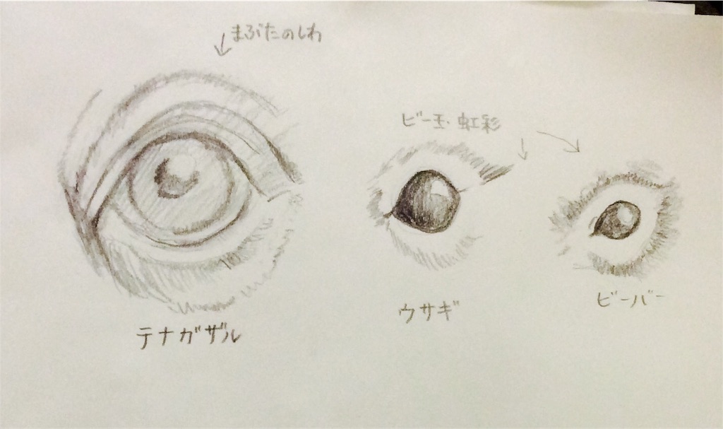 f:id:draw642:20171217192148j:image