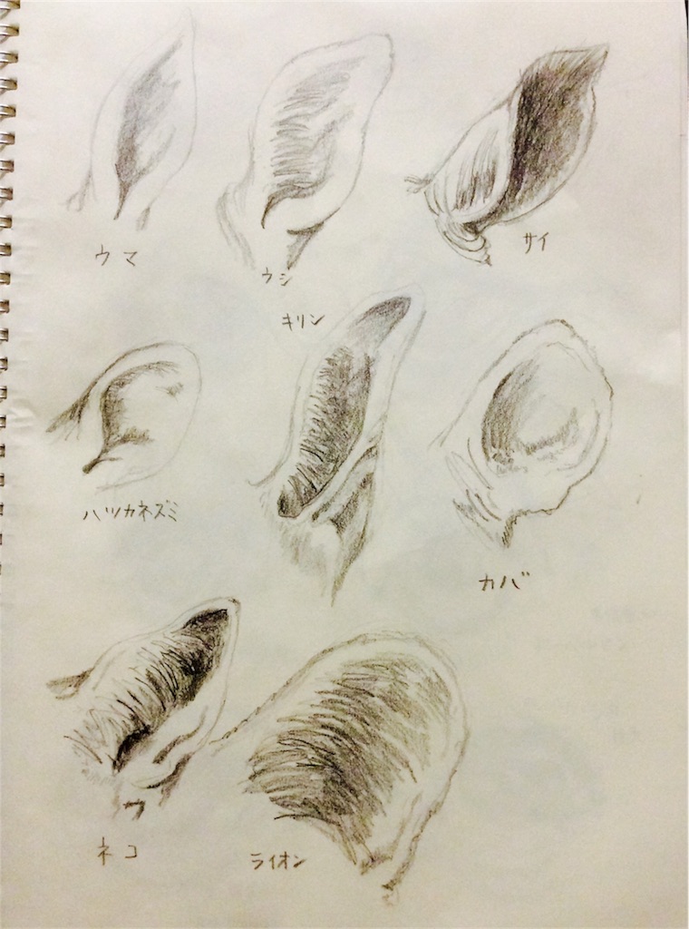 f:id:draw642:20171218205549j:image