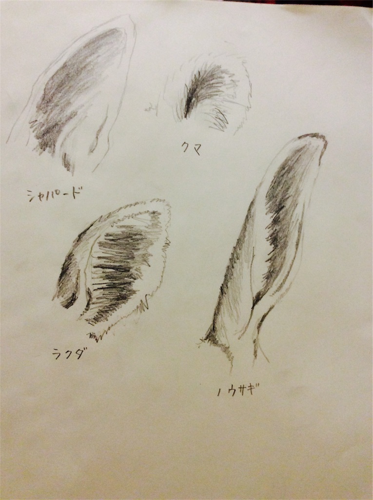 f:id:draw642:20171218205601j:image