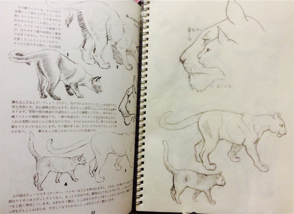 f:id:draw642:20171223191100j:image