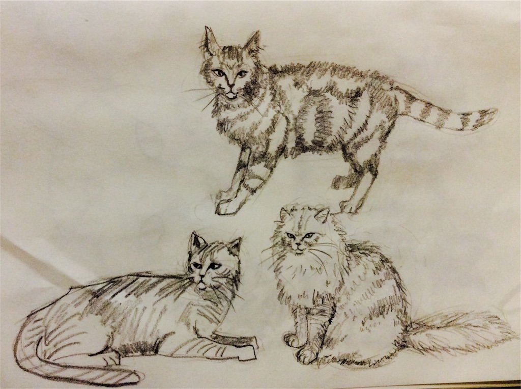 f:id:draw642:20171226192807j:image