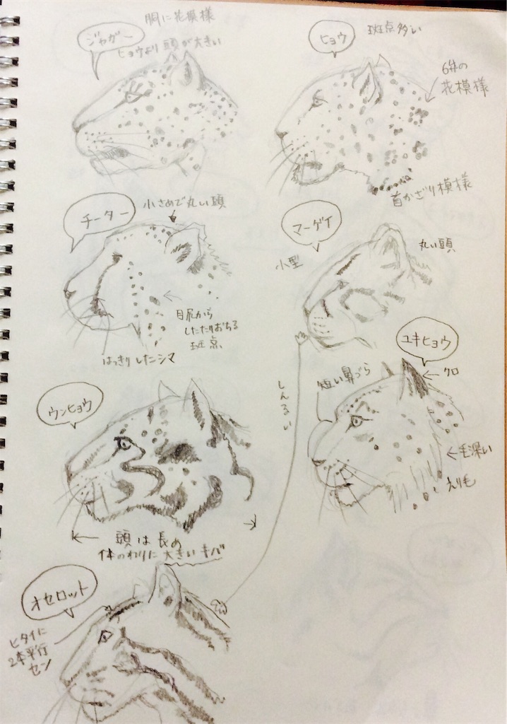 f:id:draw642:20180115192529j:image